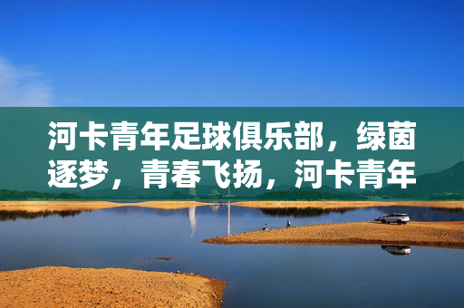 河卡青年足球俱乐部，绿茵逐梦，青春飞扬，河卡青年足球俱乐部，绿茵逐梦，青春飞扬