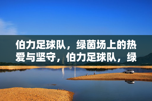 伯力足球队,绿茵场上的热爱与坚守,伯力足球队,绿茵场上的热爱与坚守