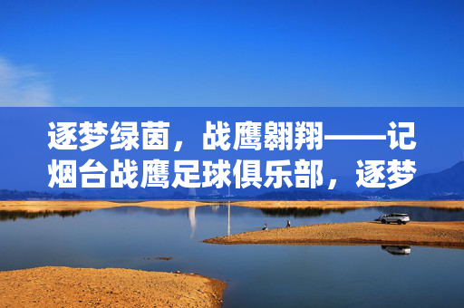 逐梦绿茵，战鹰翱翔——记烟台战鹰足球俱乐部，逐梦绿茵，烟台战鹰翱翔