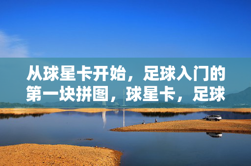 从球星卡开始，足球入门的第一块拼图，球星卡，足球入门的第一块拼图