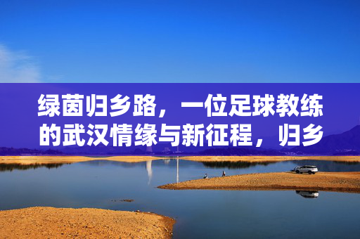 绿茵归乡路,一位足球教练的武汉情缘与新征程,归乡绿茵情,武汉足球教练的新征程