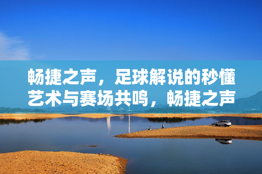 畅捷之声,足球解说的秒懂艺术与赛场共鸣,畅捷之声,足球解说的秒懂艺术与赛场共鸣