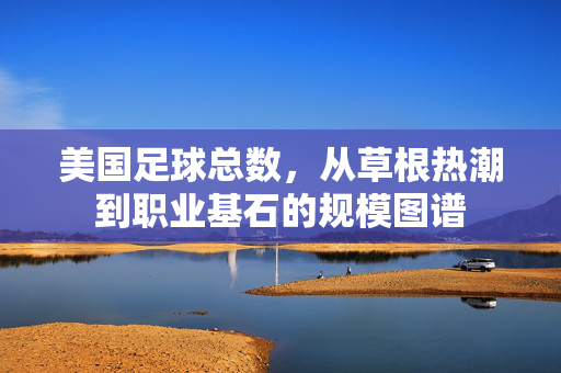 美国足球总数，从草根热潮到职业基石的规模图谱