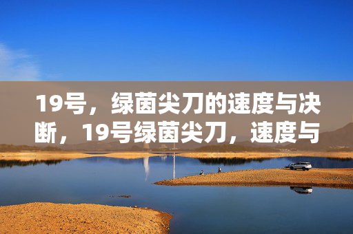 19号，绿茵尖刀的速度与决断，19号绿茵尖刀，速度与决断的锋芒
