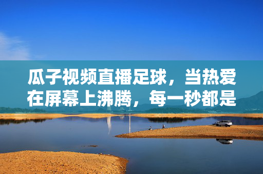 瓜子视频直播足球，当热爱在屏幕上沸腾，每一秒都是心跳，瓜子视频直播足球，热爱沸腾，每一秒都是心跳