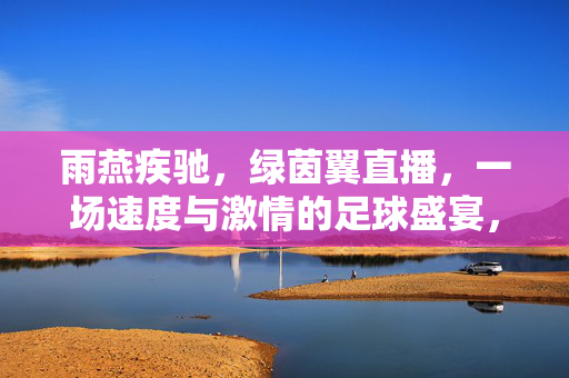 雨燕疾驰，绿茵翼直播，一场速度与激情的足球盛宴，绿茵翼直播，雨燕疾驰的足球盛宴