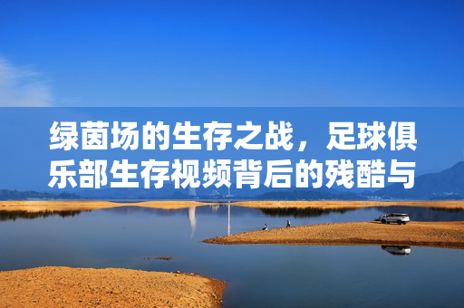 绿茵场的生存之战,足球俱乐部生存视频背后的残酷与希望,绿茵场生存战,足球俱乐部的残酷与希望