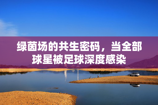 绿茵场的共生密码，当全部球星被足球深度感染