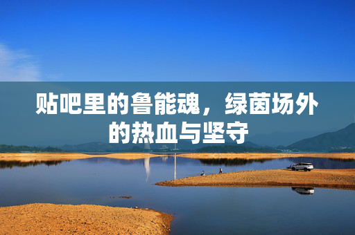 贴吧里的鲁能魂，绿茵场外的热血与坚守