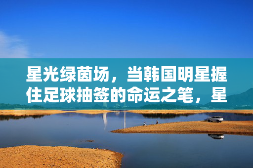 星光绿茵场，当韩国明星握住足球抽签的命运之笔，星光绿茵场，韩国明星执笔足球抽签命运