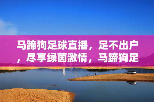马蹄狗足球直播，足不出户，尽享绿茵激情，马蹄狗足球直播，足不出户尽享绿茵激情