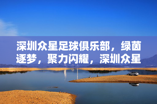 深圳众星足球俱乐部，绿茵逐梦，聚力闪耀，深圳众星绿茵逐梦聚力闪耀