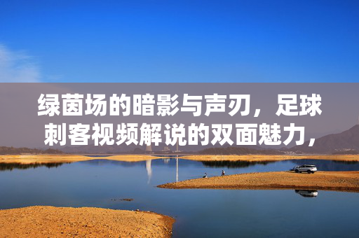 绿茵场的暗影与声刃，足球刺客视频解说的双面魅力，足球刺客，绿茵暗影与声刃的双面魅力