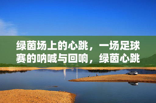 绿茵场上的心跳，一场足球赛的呐喊与回响，绿茵心跳，足球赛的呐喊与回响