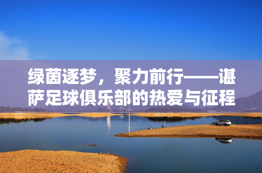 绿茵逐梦，聚力前行——谌萨足球俱乐部的热爱与征程，谌萨足球俱乐部，绿茵逐梦，热爱征程