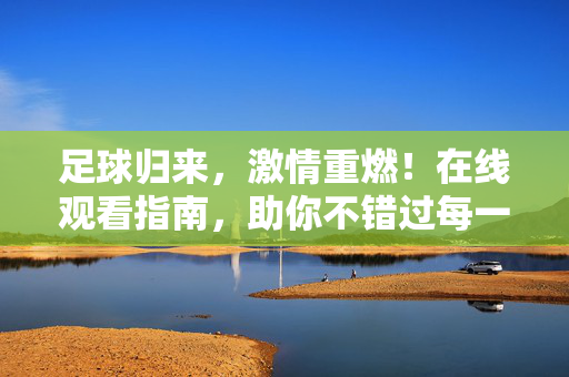足球归来，激情重燃！在线观看指南，助你不错过每一场精彩，足球归来！在线观看指南，不错过每一场激情