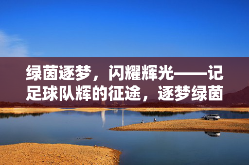 绿茵逐梦，闪耀辉光——记足球队辉的征途，逐梦绿茵，辉耀征途