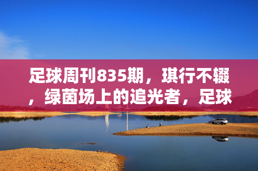 足球周刊835期，琪行不辍，绿茵场上的追光者，足球周刊835期，琪行不辍的绿茵追光者