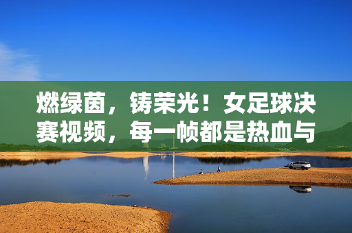 燃绿茵，铸荣光！女足球决赛视频，每一帧都是热血与梦想的绽放，女足球决赛，热血燃绿茵，梦想铸荣光
