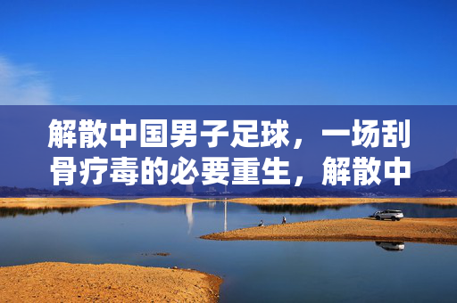 解散中国男子足球，一场刮骨疗毒的必要重生，解散中国男足，刮骨疗毒的必要重生