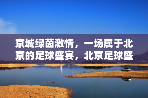 京城绿茵激情，一场属于北京的足球盛宴，北京足球盛宴，绿茵激情