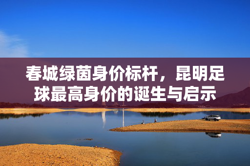 春城绿茵身价标杆，昆明足球最高身价的诞生与启示