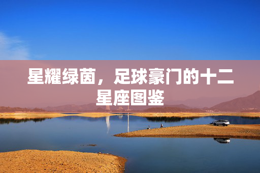 星耀绿茵,足球豪门的十二星座图鉴