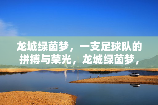 龙城绿茵梦，一支足球队的拼搏与荣光，龙城绿茵梦，足球队的拼搏与荣光