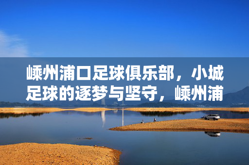 嵊州浦口足球俱乐部,小城足球的逐梦与坚守,嵊州浦口,小城足球的逐梦与坚守
