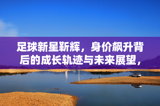 足球新星靳辉，身价飙升背后的成长轨迹与未来展望，足球新星靳辉，身价飙升背后的成长轨迹与未来展望