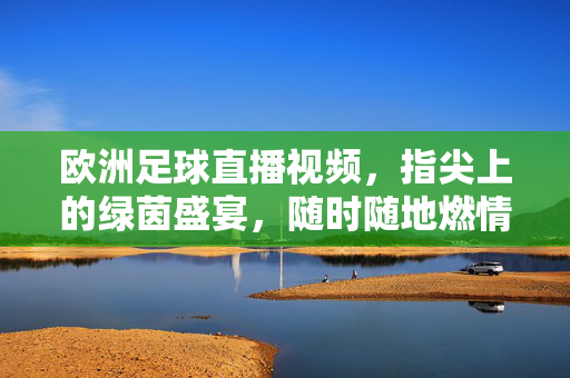 欧洲足球直播视频，指尖上的绿茵盛宴，随时随地燃情赛场，指尖绿茵直播，随时随地燃情欧洲赛场