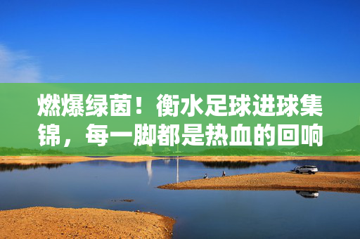 燃爆绿茵！衡水足球进球集锦，每一脚都是热血的回响