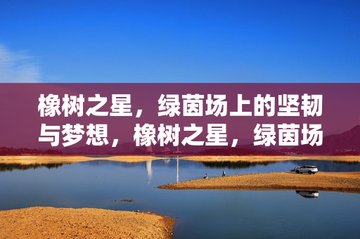 橡树之星，绿茵场上的坚韧与梦想，橡树之星，绿茵场上的坚韧与梦想
