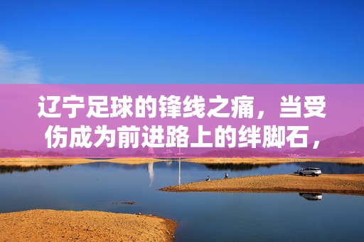 辽宁足球的锋线之痛，当受伤成为前进路上的绊脚石，辽宁足球锋线之痛，受伤成前进绊脚石