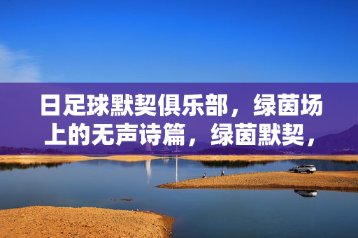 日足球默契俱乐部，绿茵场上的无声诗篇，绿茵默契，无声诗篇