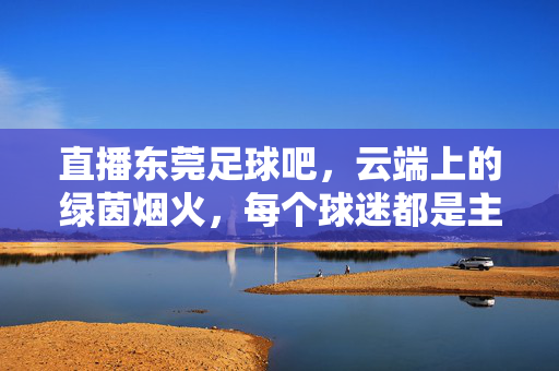直播东莞足球吧，云端上的绿茵烟火，每个球迷都是主场观众，东莞足球直播，云端绿茵烟火，球迷主场