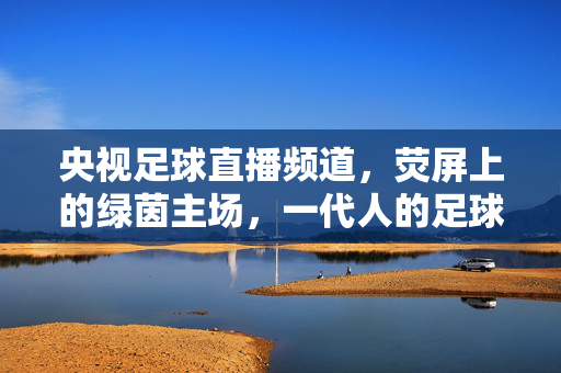 央视足球直播频道，荧屏上的绿茵主场，一代人的足球记忆，荧屏绿茵场，一代人的足球记忆