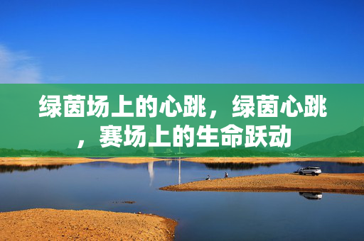 绿茵场上的心跳，绿茵心跳，赛场上的生命跃动
