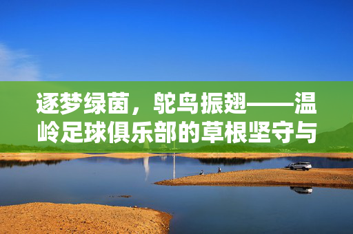 逐梦绿茵，鸵鸟振翅——温岭足球俱乐部的草根坚守与热爱，草根绿茵梦，温岭鸵鸟振翅的热爱坚守