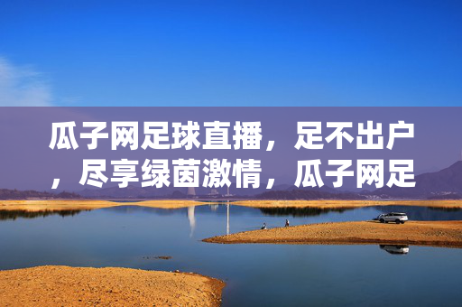 瓜子网足球直播，足不出户，尽享绿茵激情，瓜子网足球直播，足不出户尽享绿茵激情