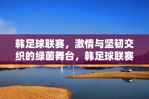韩足球联赛，激情与坚韧交织的绿茵舞台，韩足球联赛，激情与坚韧的绿茵舞台