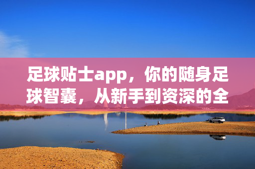 足球贴士app，你的随身足球智囊，从新手到资深的全能指南，随身足球智囊，从新手到资深的全能指南