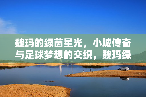 魏玛的绿茵星光,小城传奇与足球梦想的交织,魏玛绿茵星光,小城传奇与足球梦想交织