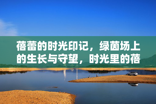蓓蕾的时光印记,绿茵场上的生长与守望,时光里的蓓蕾,绿茵场的生长与守望