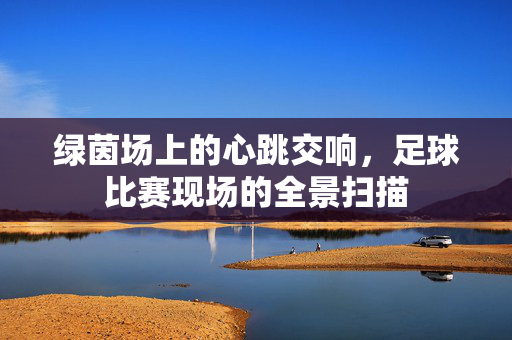 绿茵场上的心跳交响，足球比赛现场的全景扫描
