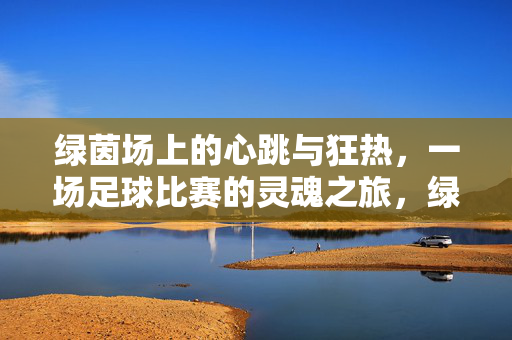 绿茵场上的心跳与狂热，一场足球比赛的灵魂之旅，绿茵心跳与狂热，足球的灵魂之旅