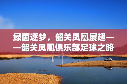 绿茵逐梦，韶关凤凰展翅——韶关凤凰俱乐部足球之路，韶关凤凰，绿茵逐梦展翅之路