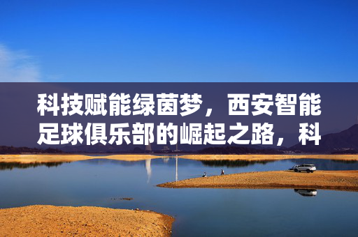 科技赋能绿茵梦，西安智能足球俱乐部的崛起之路，科技赋能绿茵，西安智能足球崛起之路