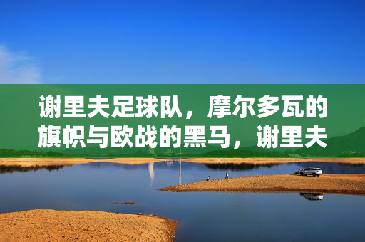 谢里夫足球队，摩尔多瓦的旗帜与欧战的黑马，谢里夫，摩尔多瓦旗帜与欧战黑马