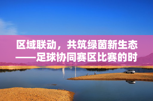 区域联动，共筑绿茵新生态——足球协同赛区比赛的时代意义与实践探索